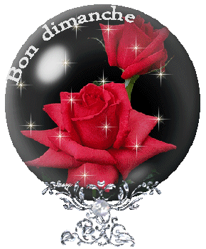 Bon dimanche rose rouge